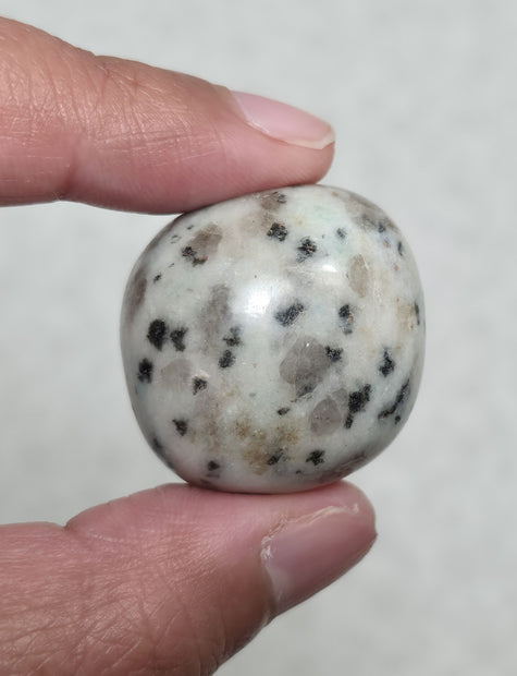 Kiwi Jasper Tumble - One Individual Tumble