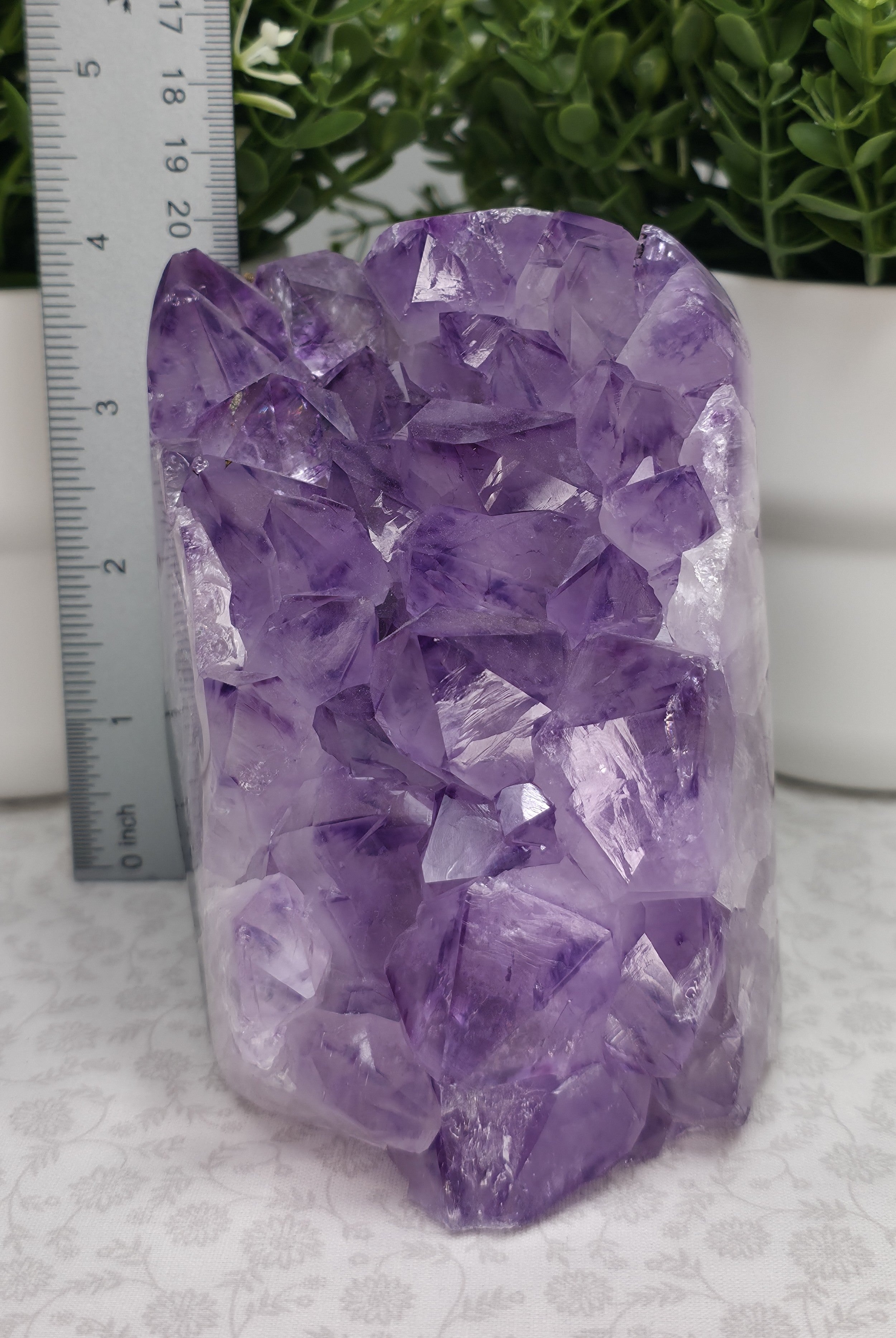 Amazing Large Amethyst Freeform - Option B