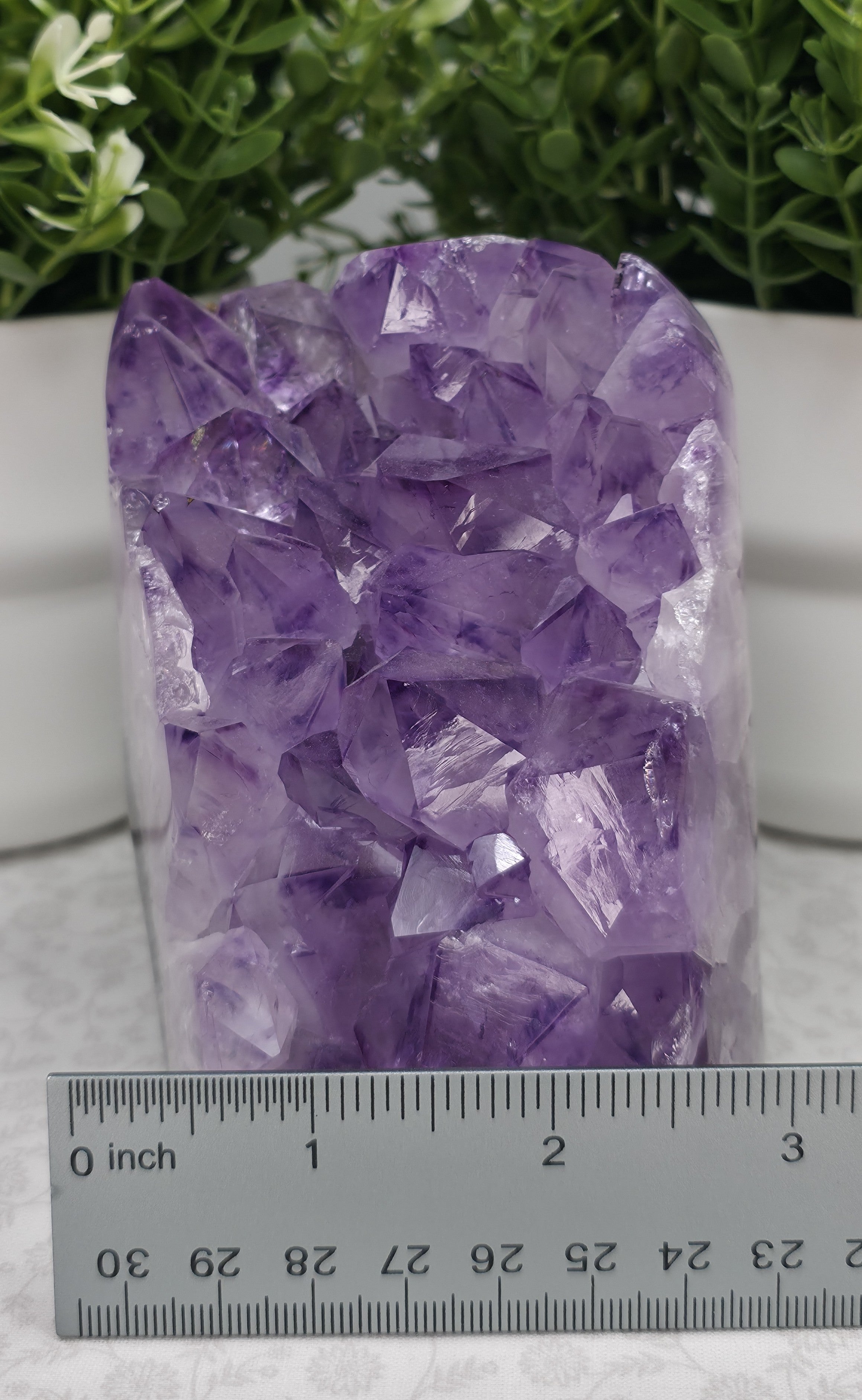 Amazing Large Amethyst Freeform - Option B