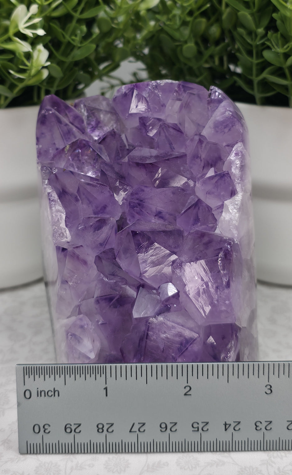 Amazing Large Amethyst Freeform - Option B