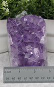 Amazing Large Amethyst Freeform - Option B