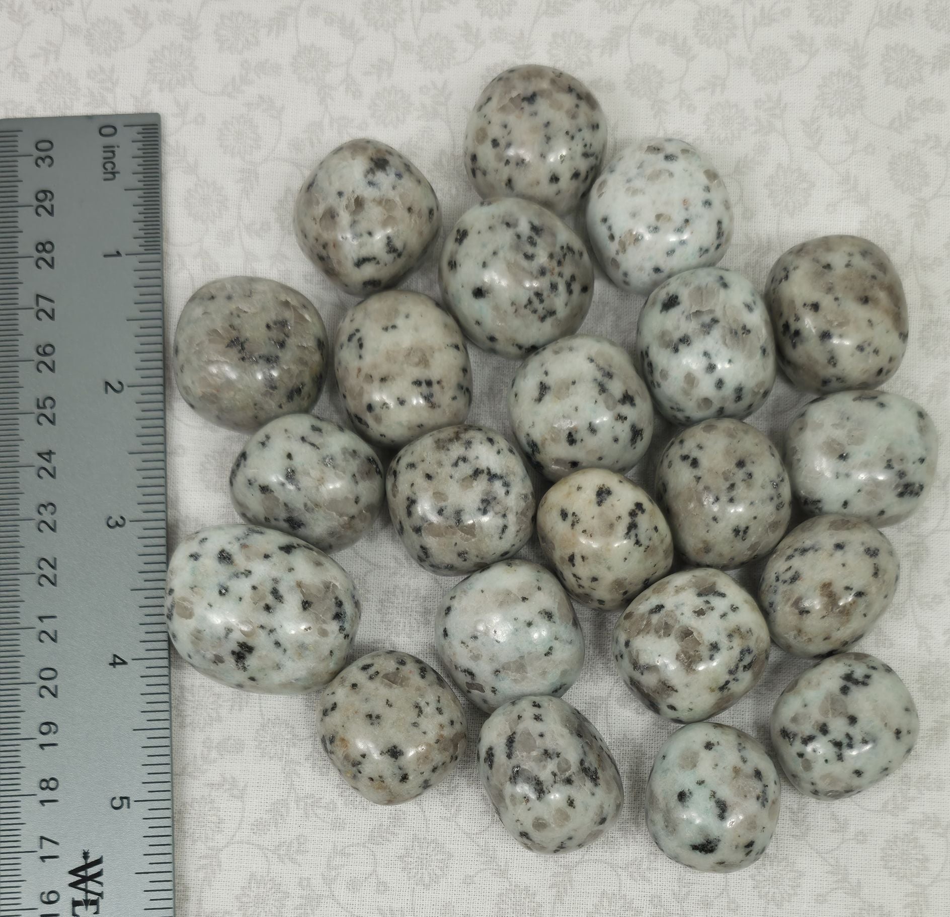 Kiwi Jasper Tumble - One Individual Tumble