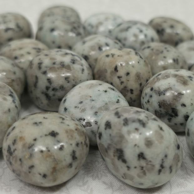 Kiwi Jasper Tumble - One Individual Tumble