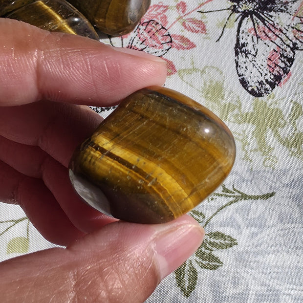 (Large) Tiger's Eye Tumble - One Individual Tumble