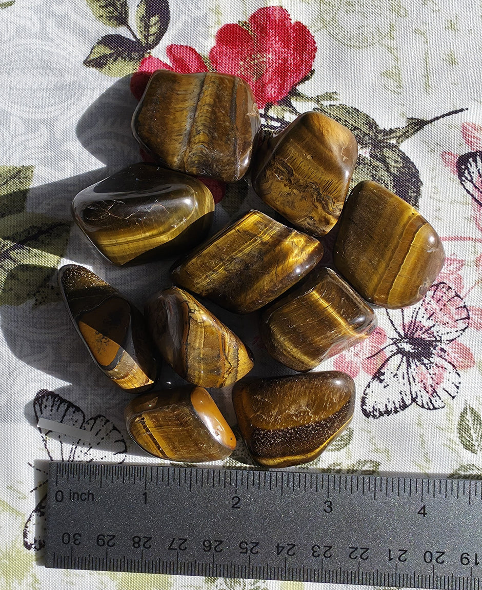 (Large) Tiger's Eye Tumble - One Individual Tumble