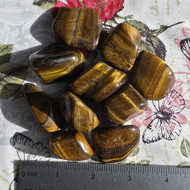 (Large) Tiger's Eye Tumble - One Individual Tumble