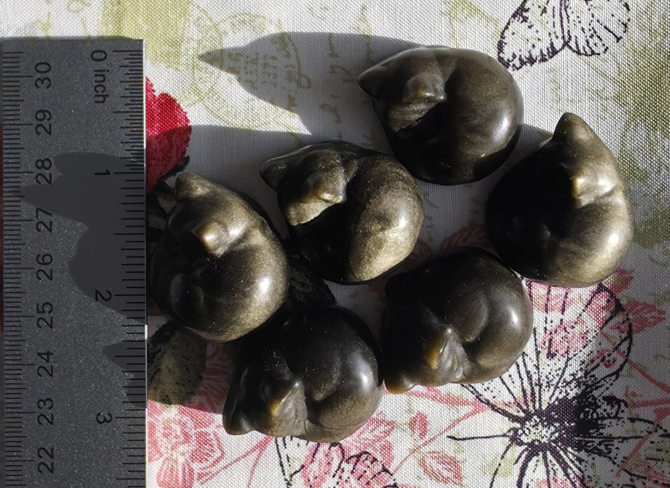 Gold Sheen Obsidian Cat- One Individual Cat Carving
