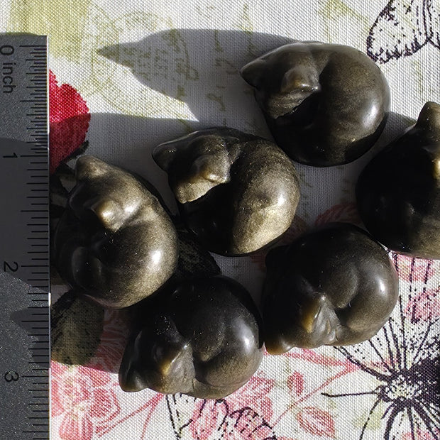 Gold Sheen Obsidian Cat- One Individual Cat Carving