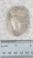 Grey Moonstone Palmstone - Option E