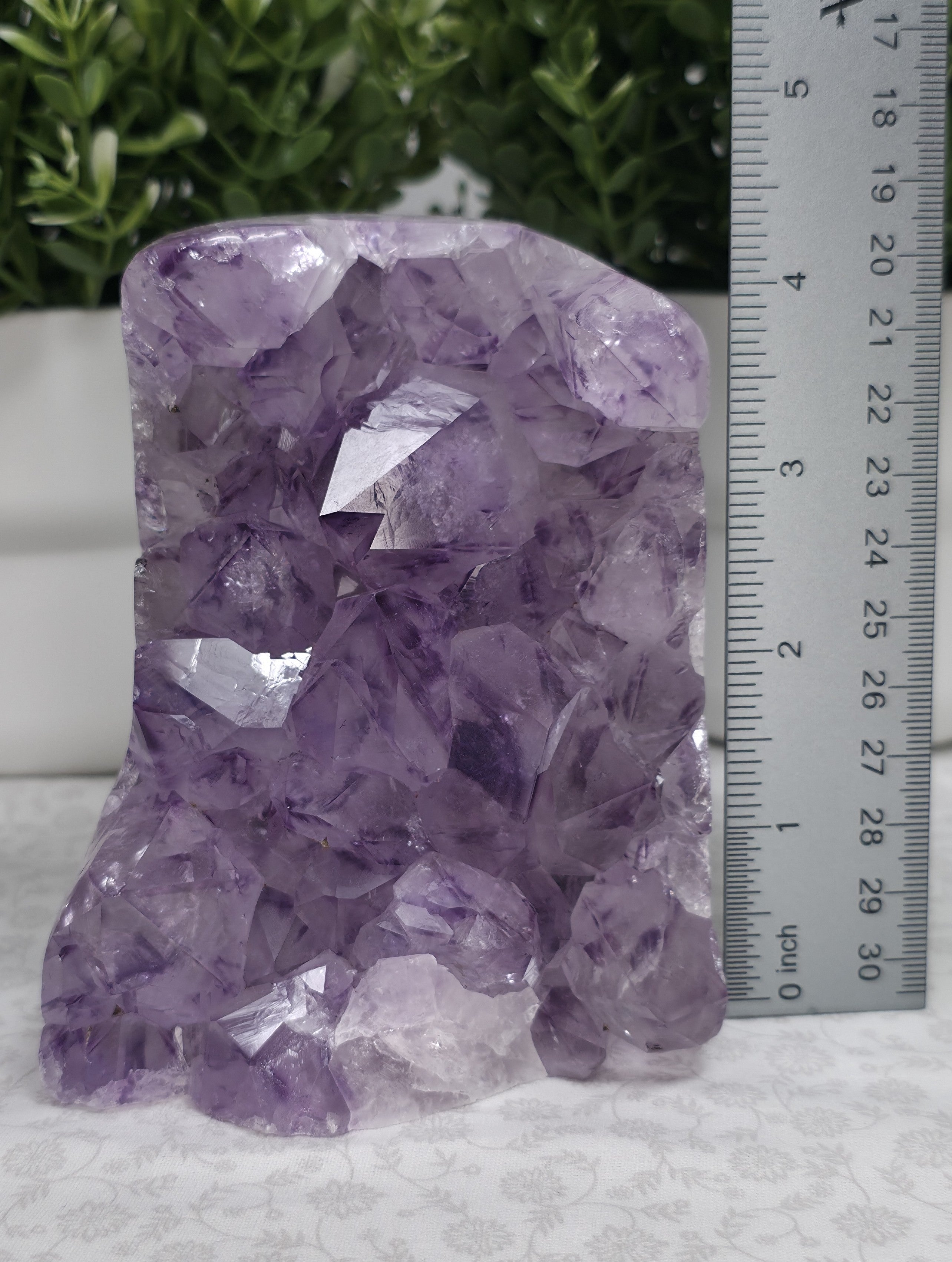 Amazing Large Amethyst Freeform - Option A