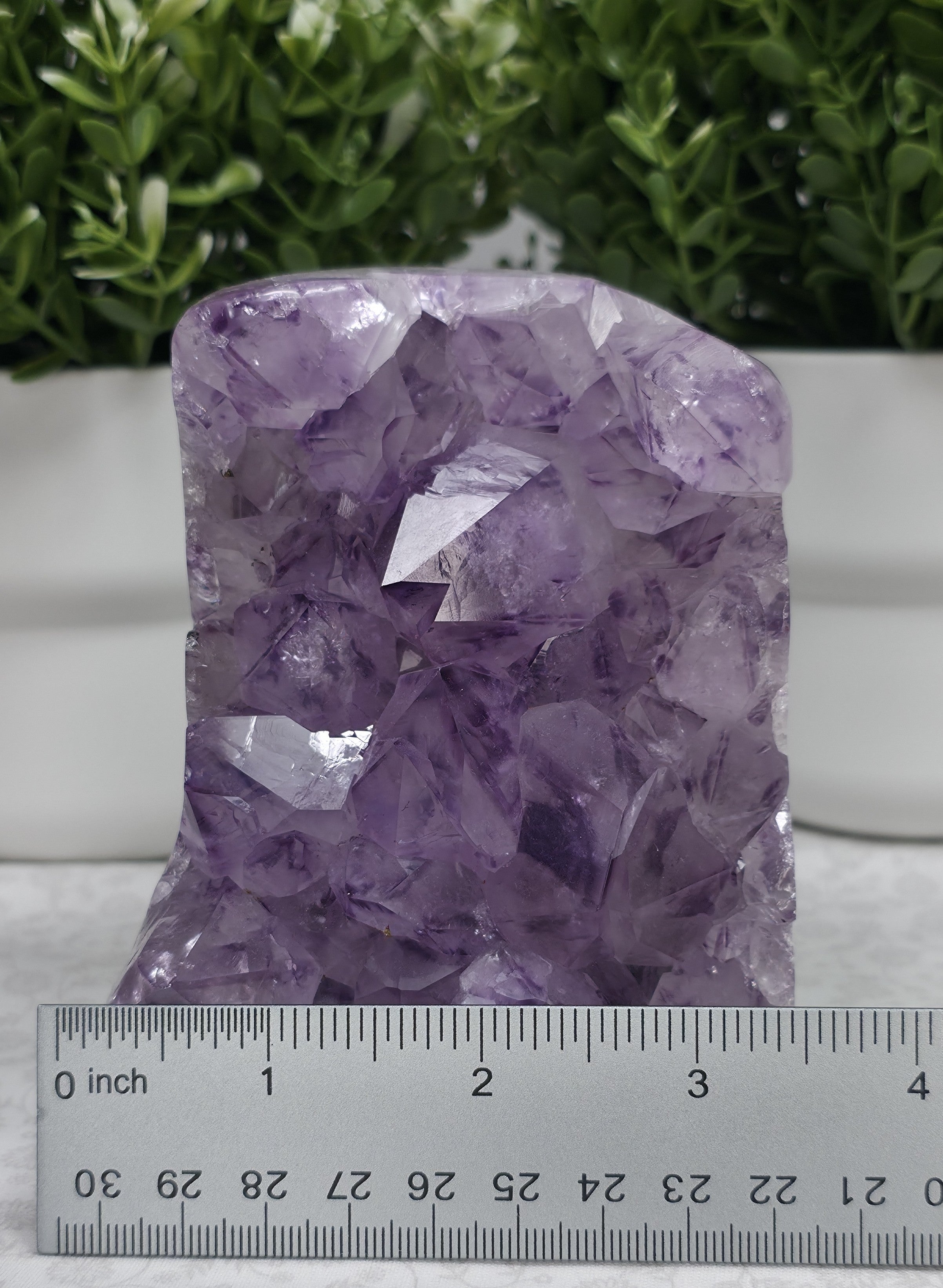 Amazing Large Amethyst Freeform - Option A
