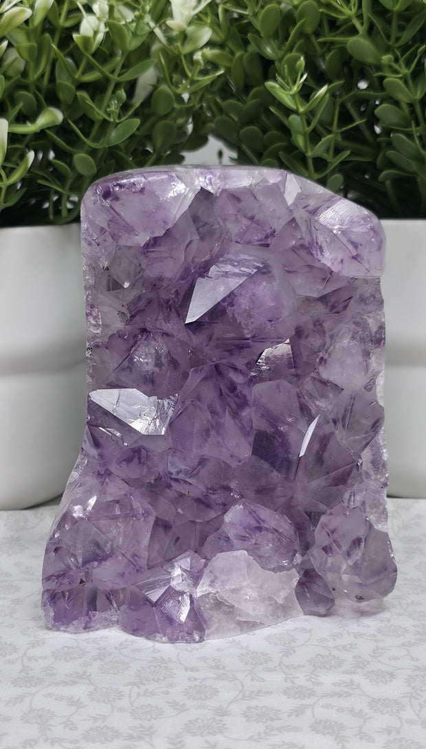 Amazing Large Amethyst Freeform - Option A
