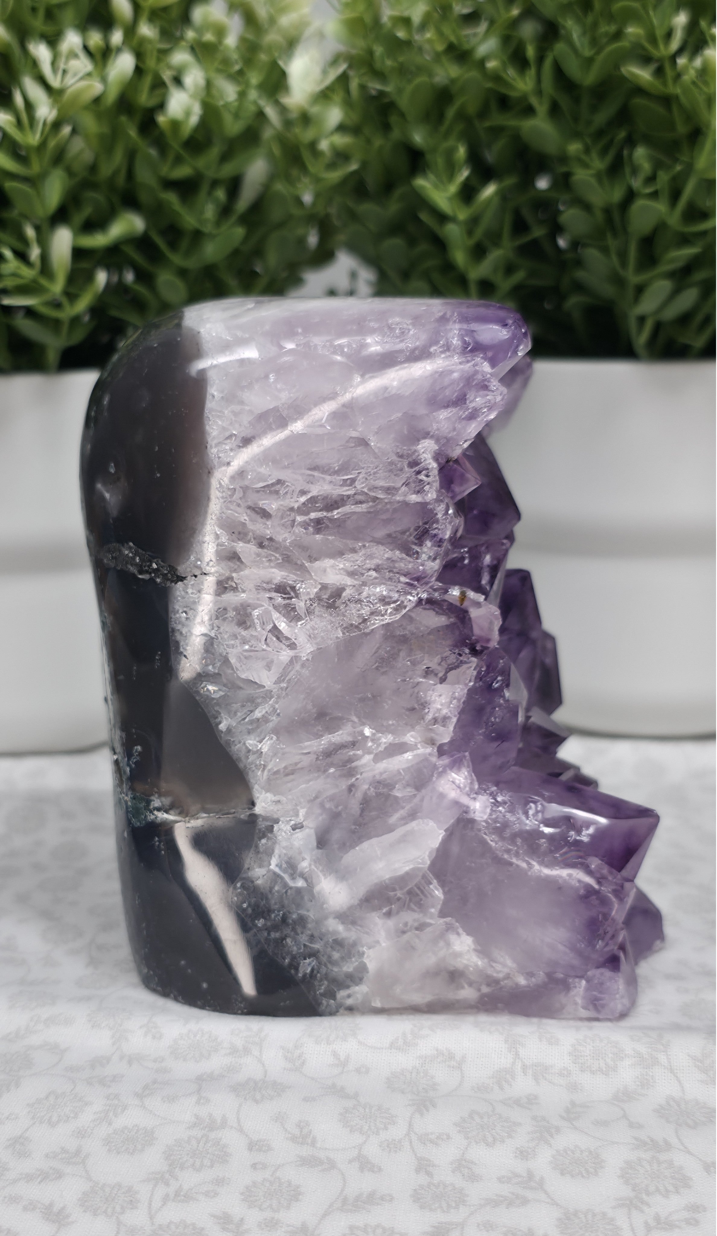 Amazing Large Amethyst Freeform - Option A