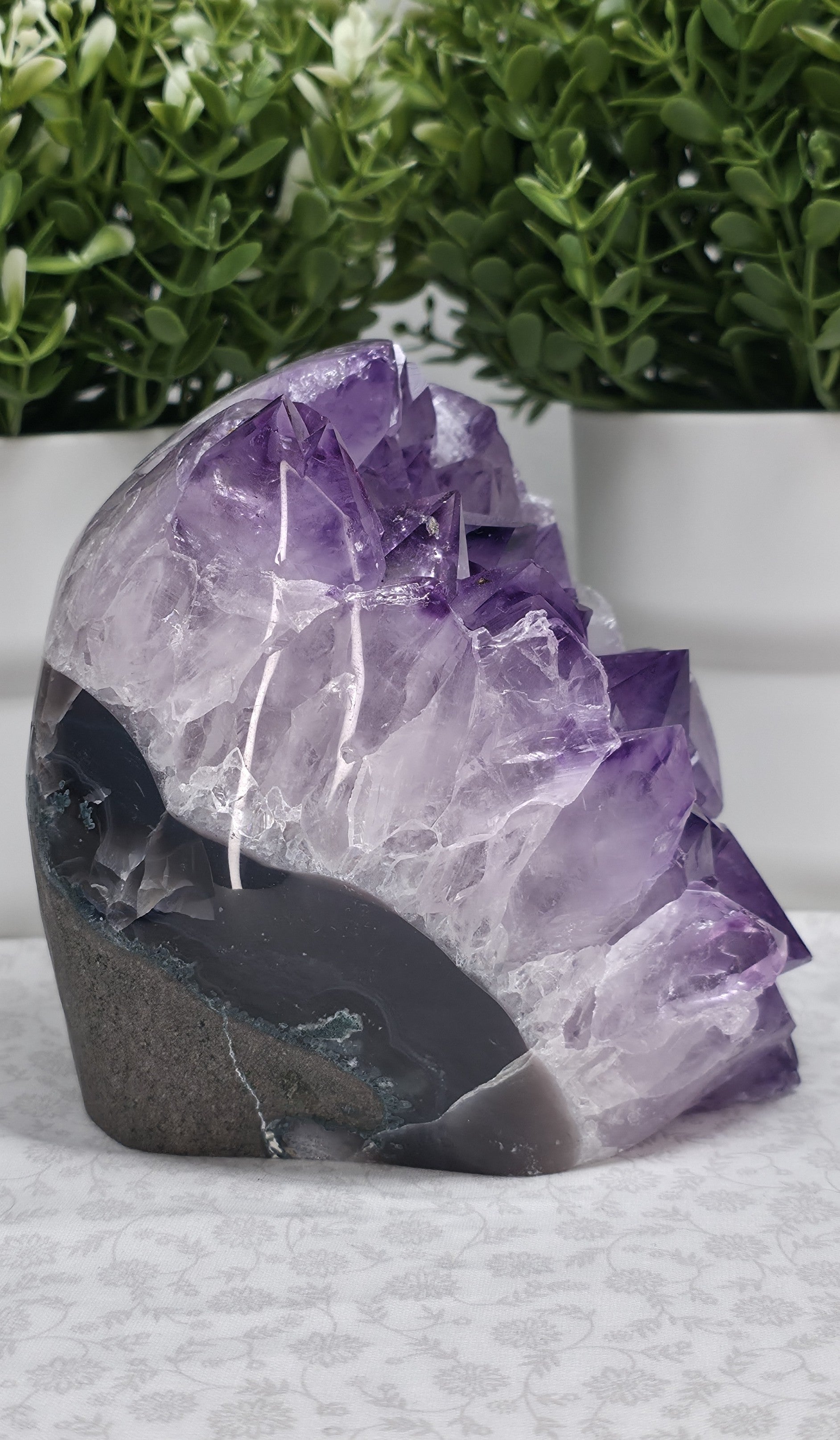 Amazing Large Amethyst Freeform - Option B