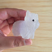 Yttrium Fluorite Yak | Option C