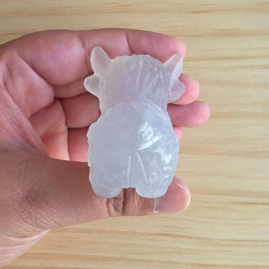 Yttrium Fluorite Yak | Option C