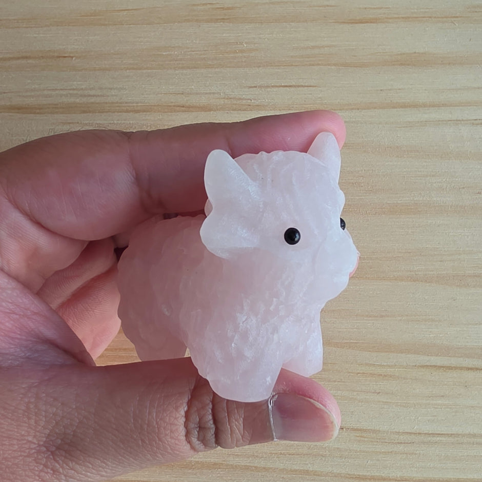 Rose Quartz Yak | Option A
