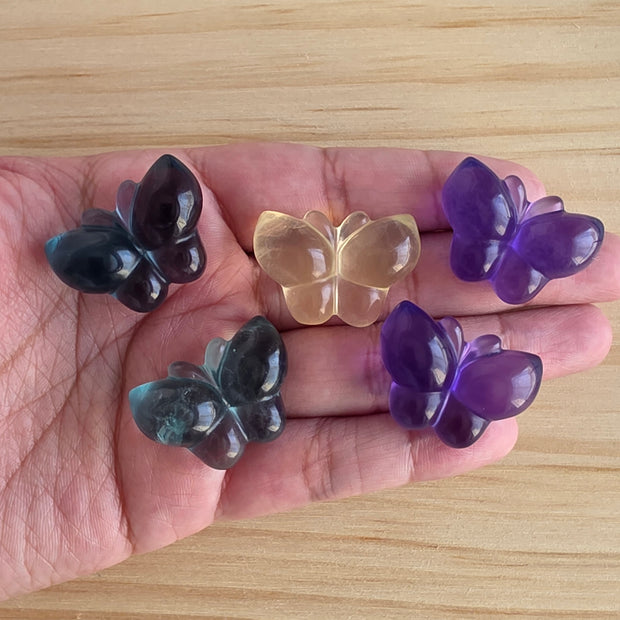 One Fluorite Butterfly | One Intuitively Chosen Butterfly