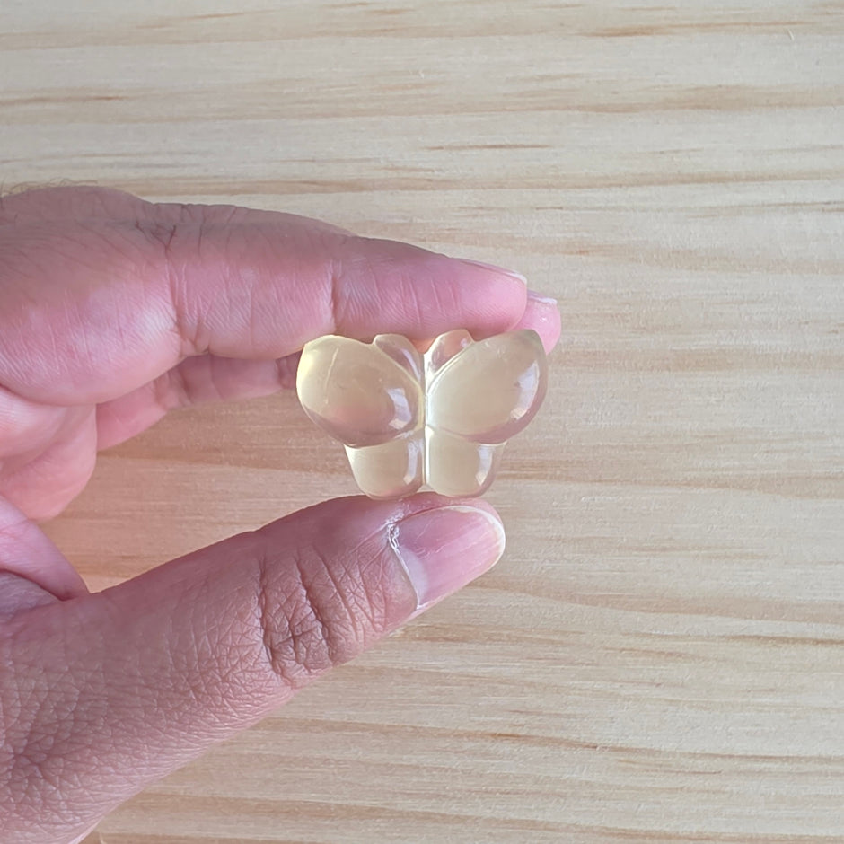 One Fluorite Butterfly | One Intuitively Chosen Butterfly