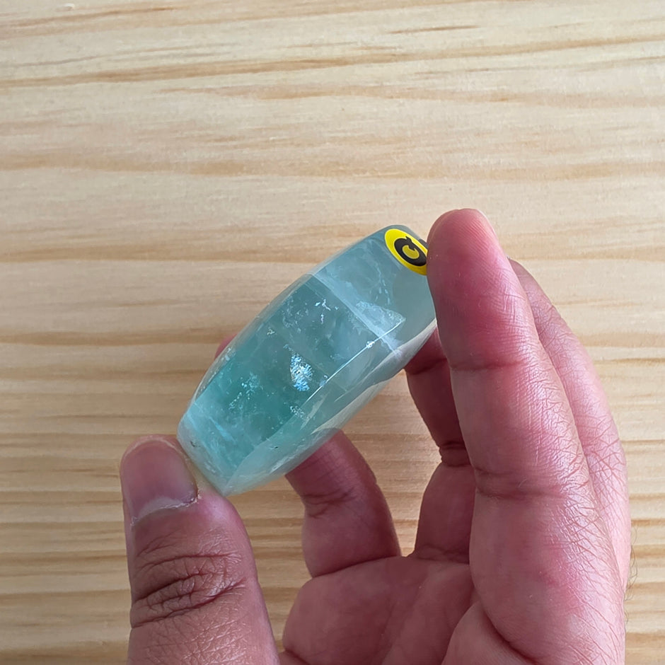 Seafoam Fluorite Palm Stone | Option Q