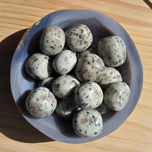 Kiwi Jasper Tumble | One Individual Tumble