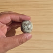 Kiwi Jasper Tumble | One Individual Tumble