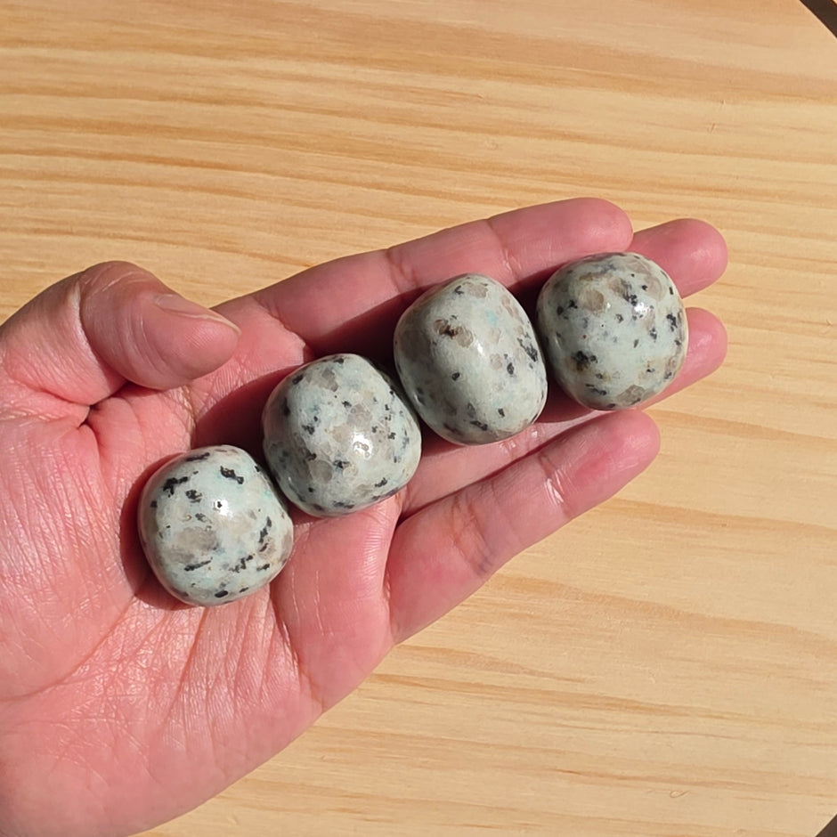 Kiwi Jasper Tumble | One Individual Tumble