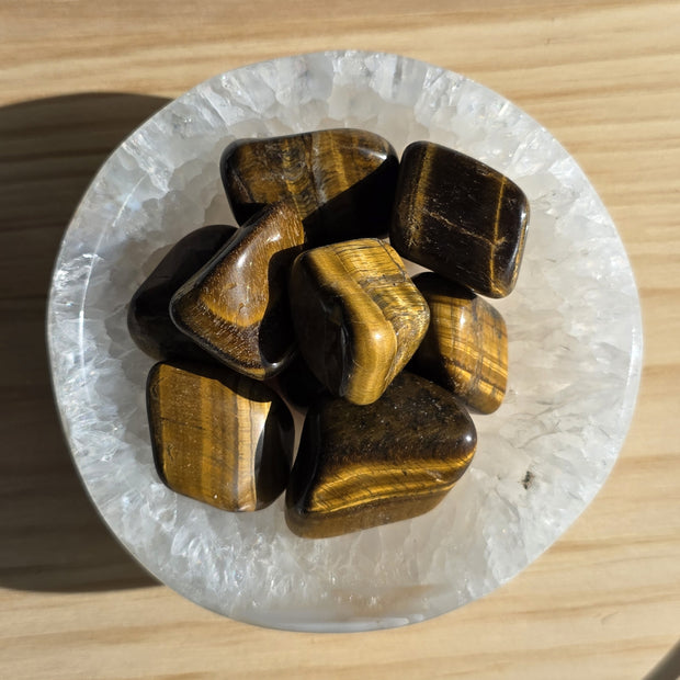 Tiger's Eye Tumble | One Individual Tumble