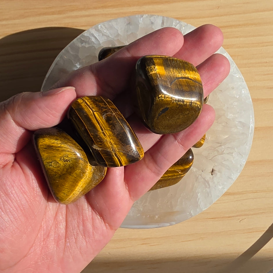 Tiger's Eye Tumble | One Individual Tumble