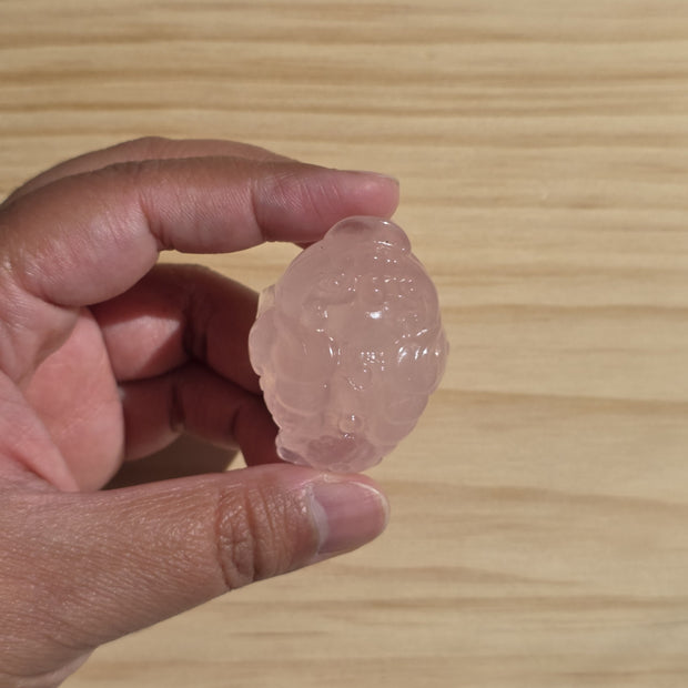 Rose Quartz Money Toad | One Intuitively Chosen Money Toad