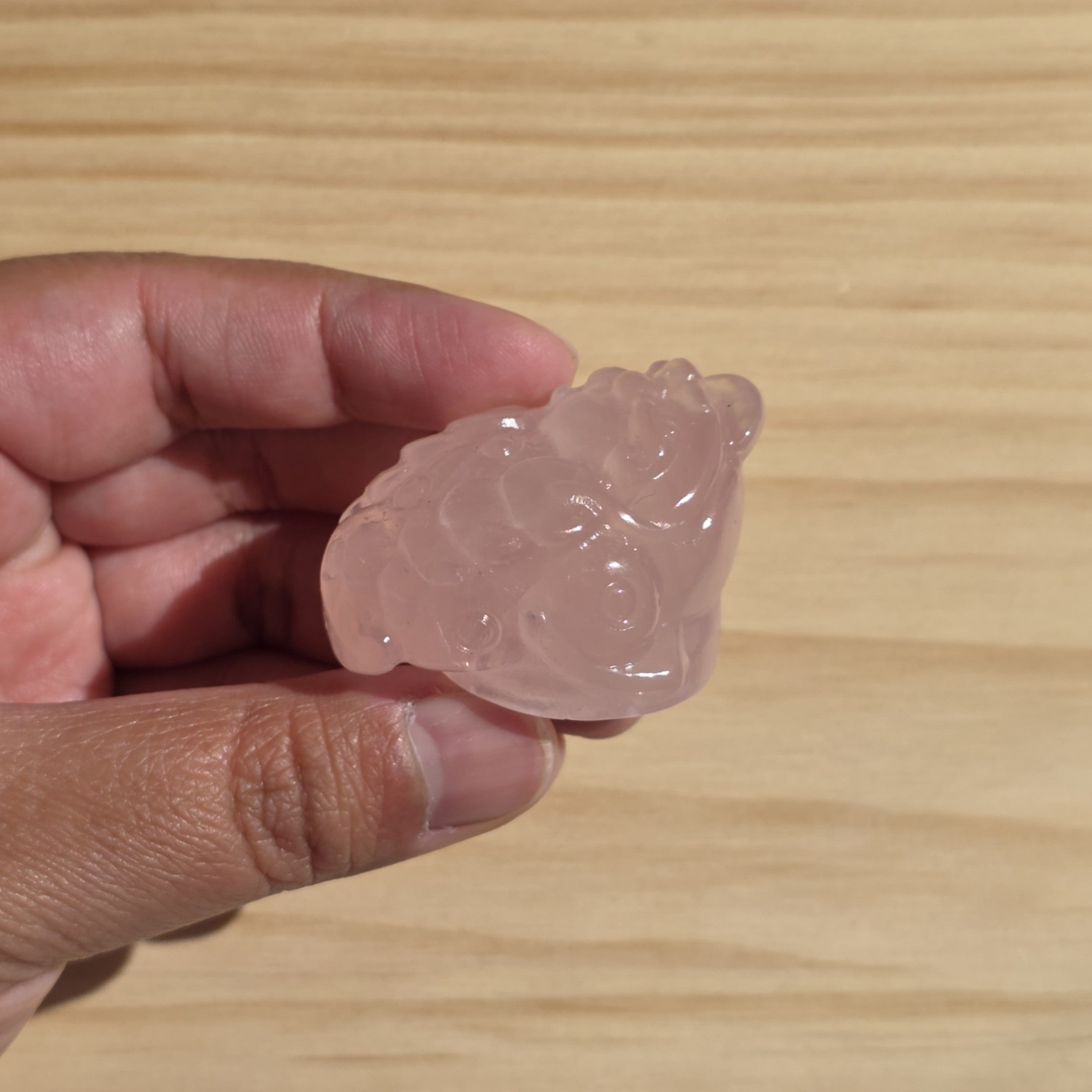 Rose Quartz Money Toad | One Intuitively Chosen Money Toad