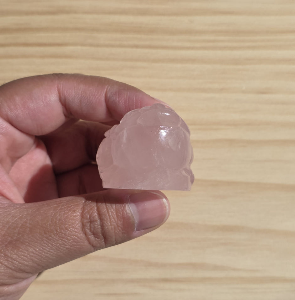 Rose Quartz Money Toad | One Intuitively Chosen Money Toad