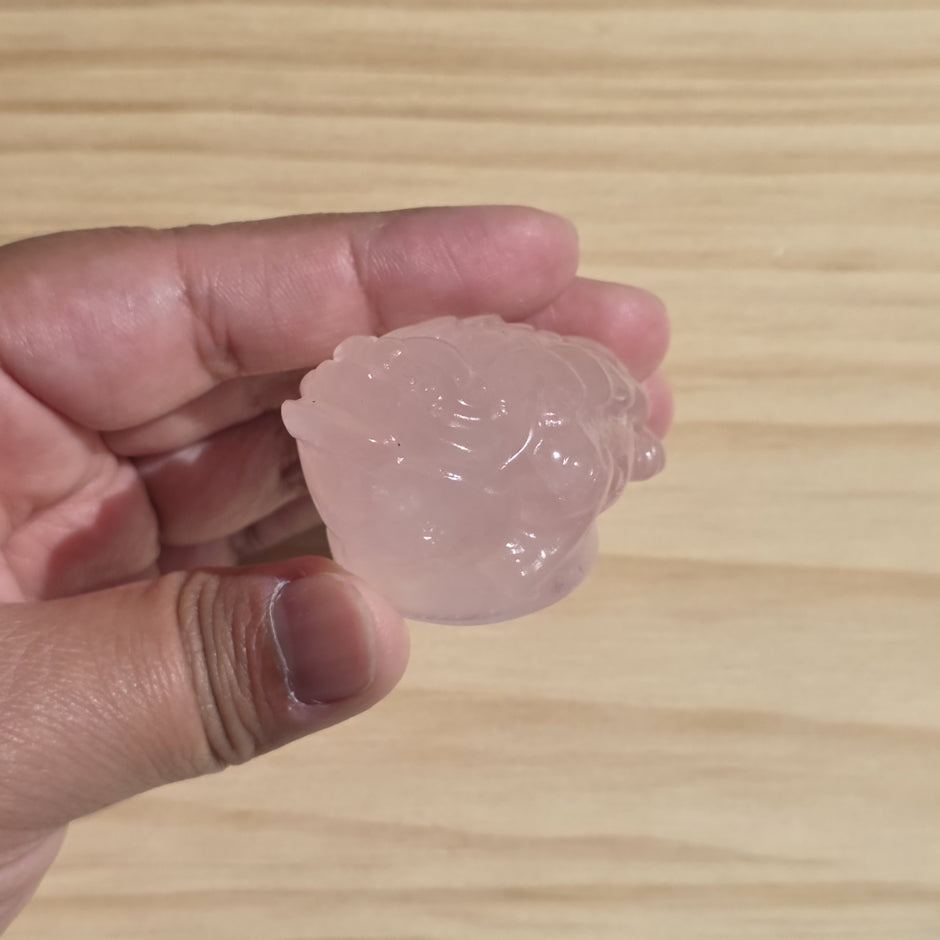 Rose Quartz Money Toad | One Intuitively Chosen Money Toad