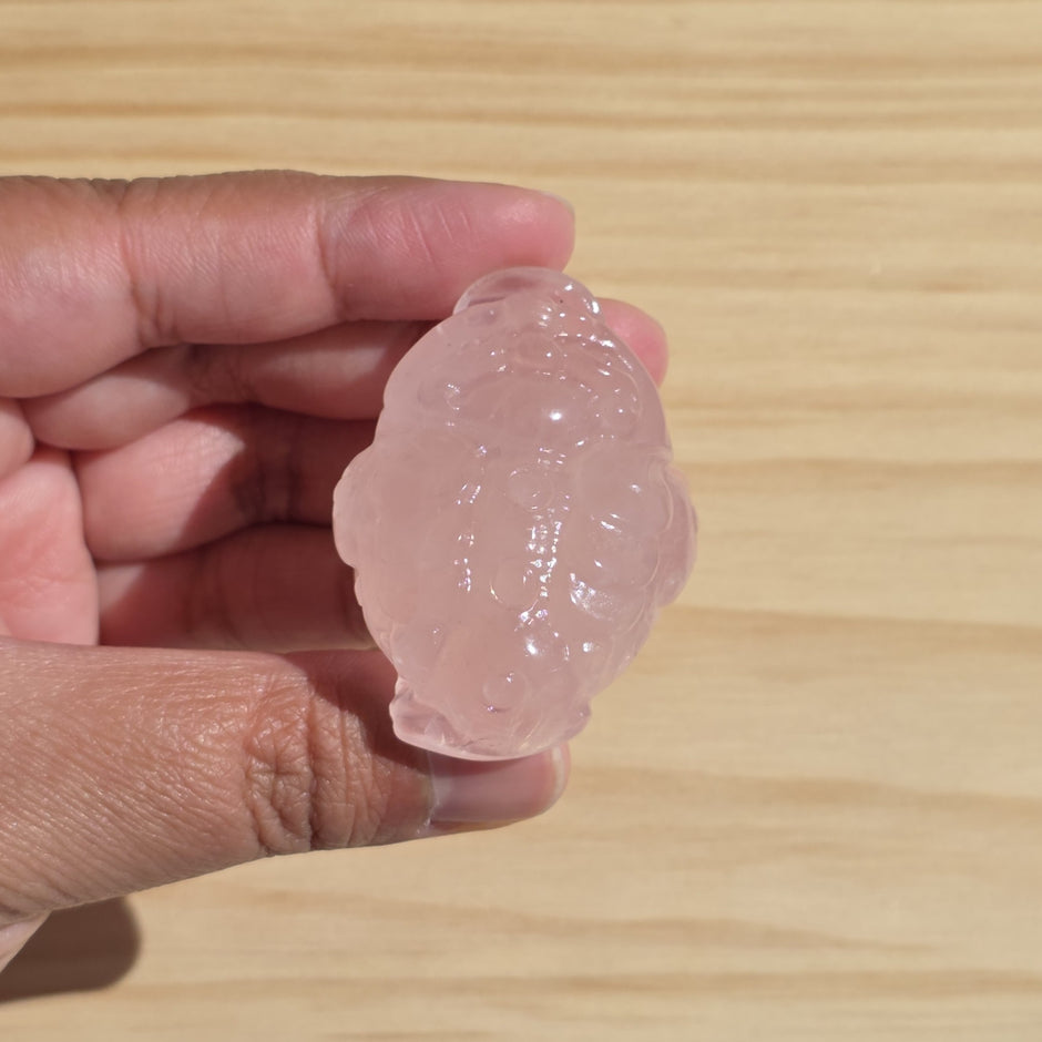 Rose Quartz Money Toad | One Intuitively Chosen Money Toad