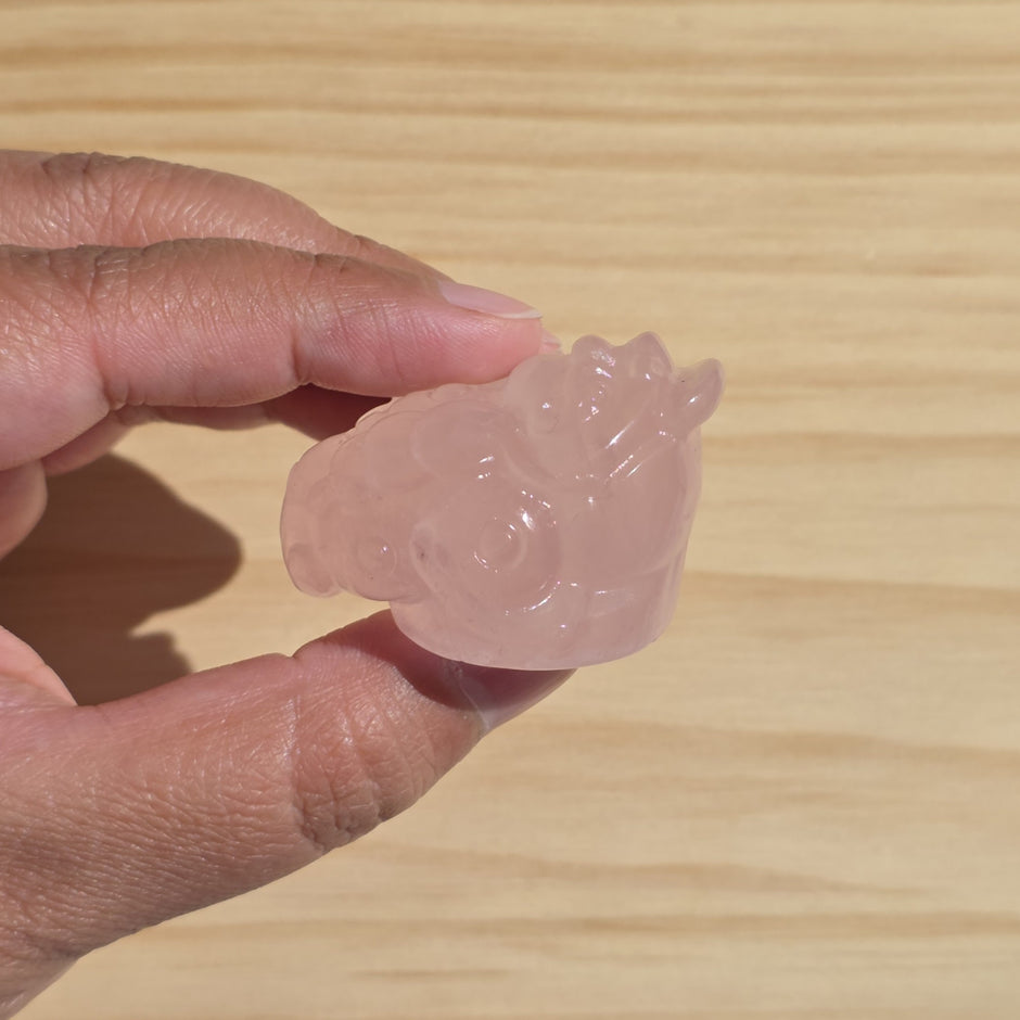 Rose Quartz Money Toad | One Intuitively Chosen Money Toad
