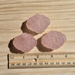 Rose Quartz Money Toad | One Intuitively Chosen Money Toad