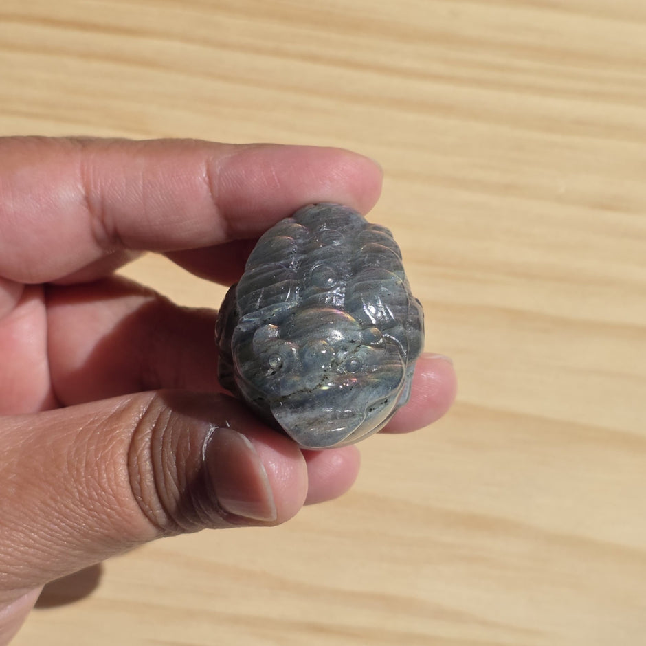 Labradorite Money Toad | One Intuitively Chosen Money Toad