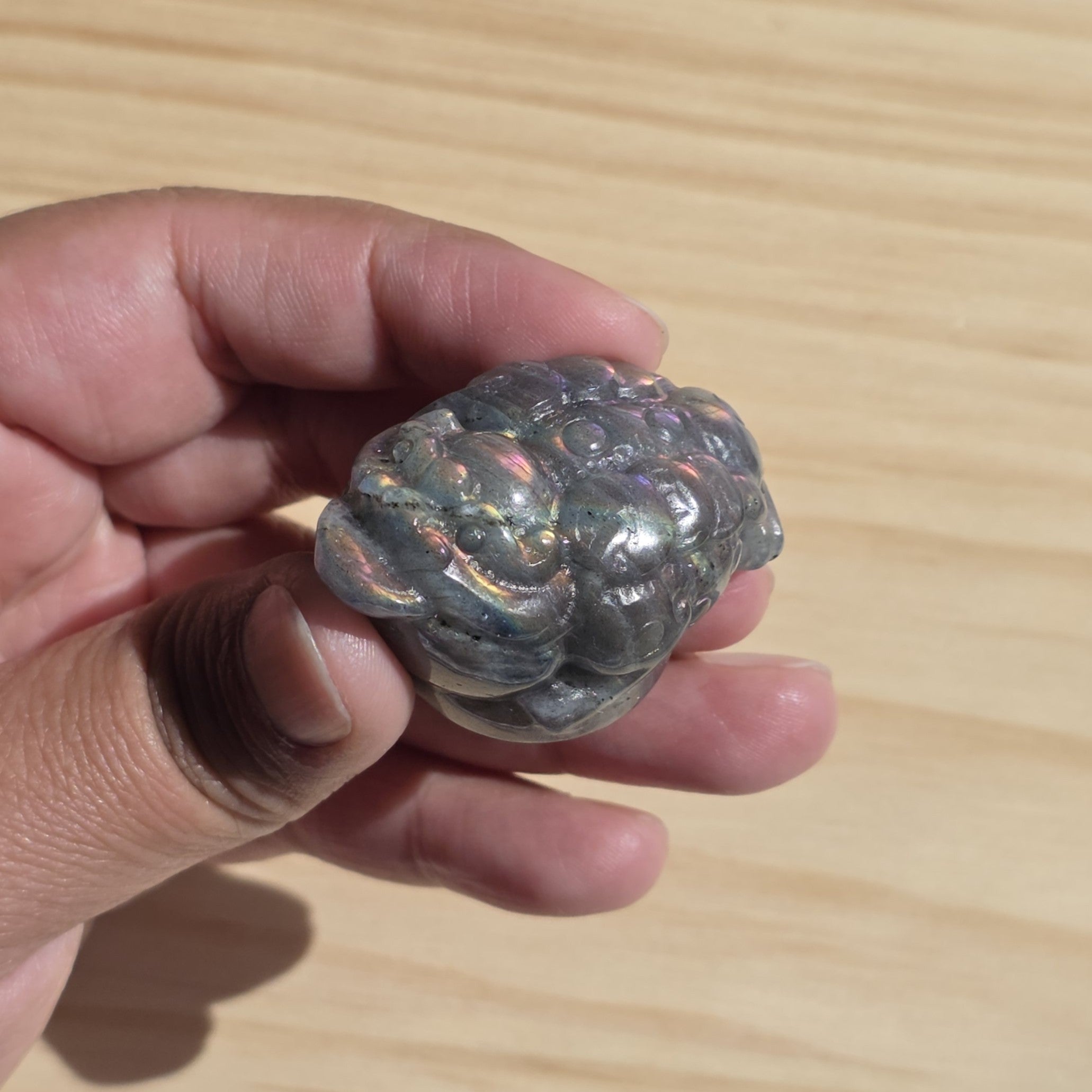 Labradorite Money Toad | One Intuitively Chosen Money Toad
