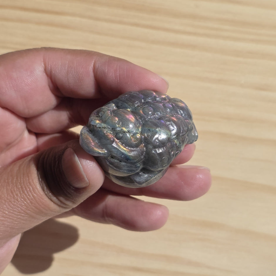 Labradorite Money Toad | One Intuitively Chosen Money Toad