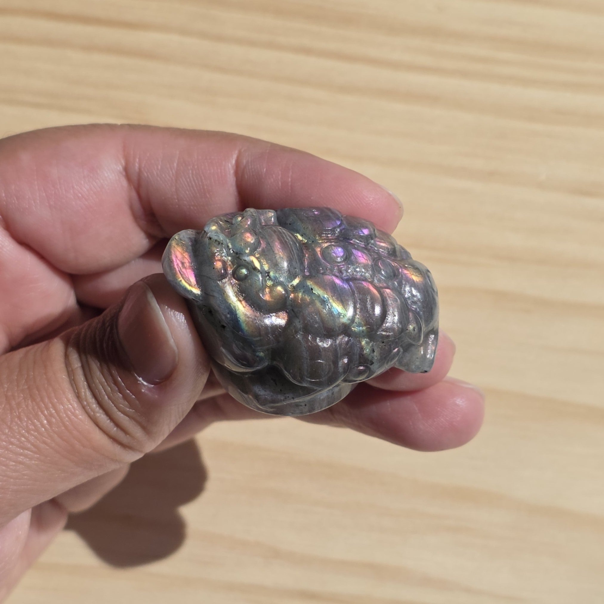 Labradorite Money Toad | One Intuitively Chosen Money Toad