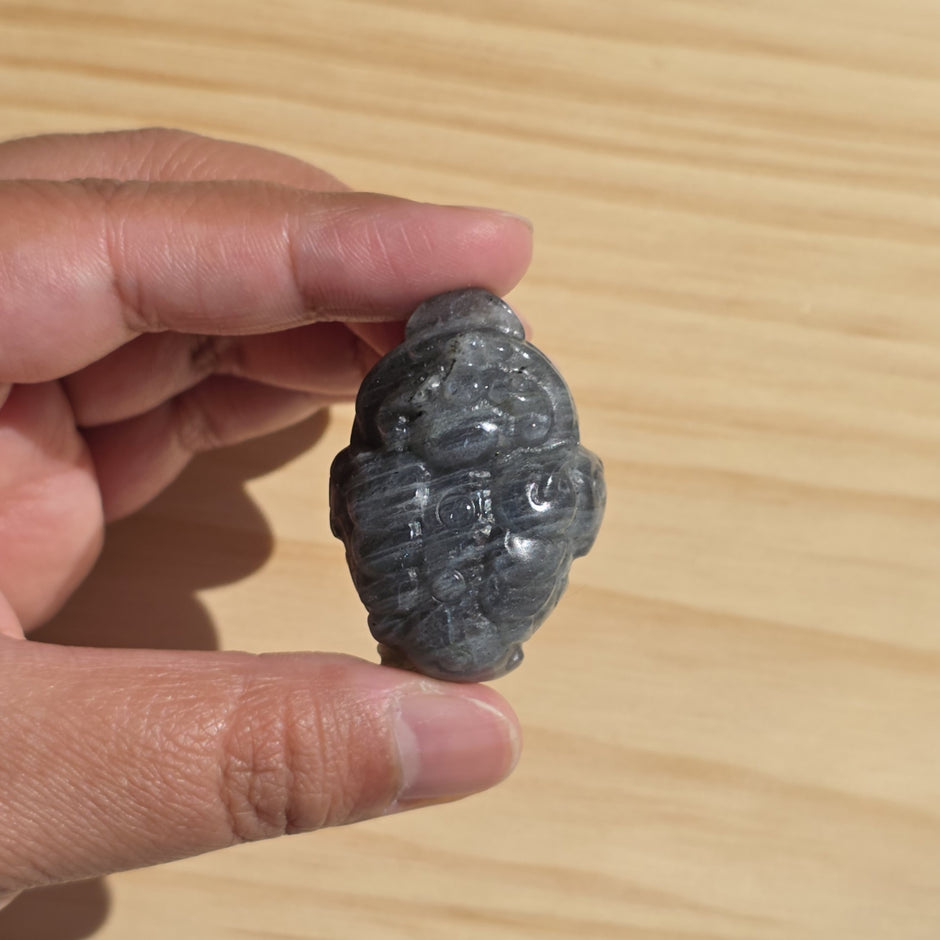 Labradorite Money Toad | One Intuitively Chosen Money Toad