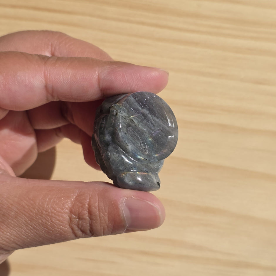 Labradorite Money Toad | One Intuitively Chosen Money Toad