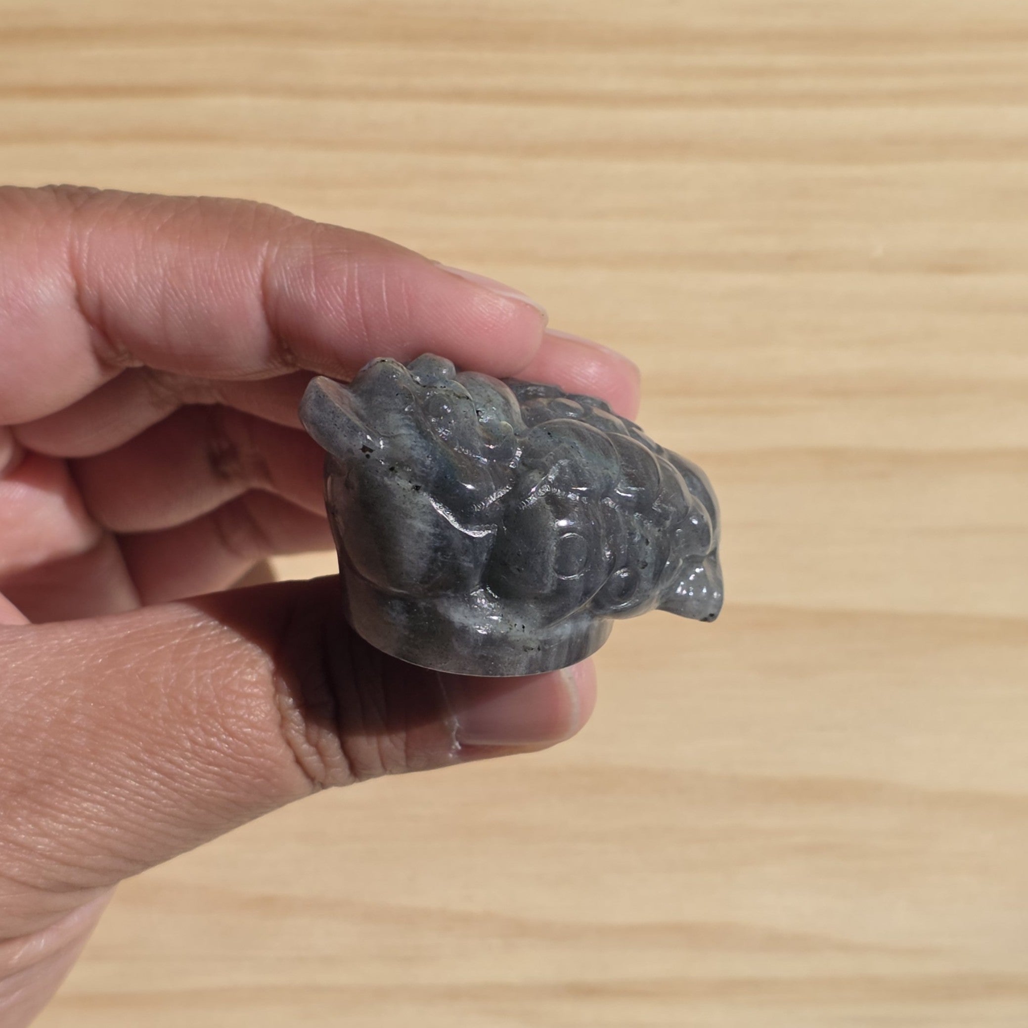 Labradorite Money Toad | One Intuitively Chosen Money Toad