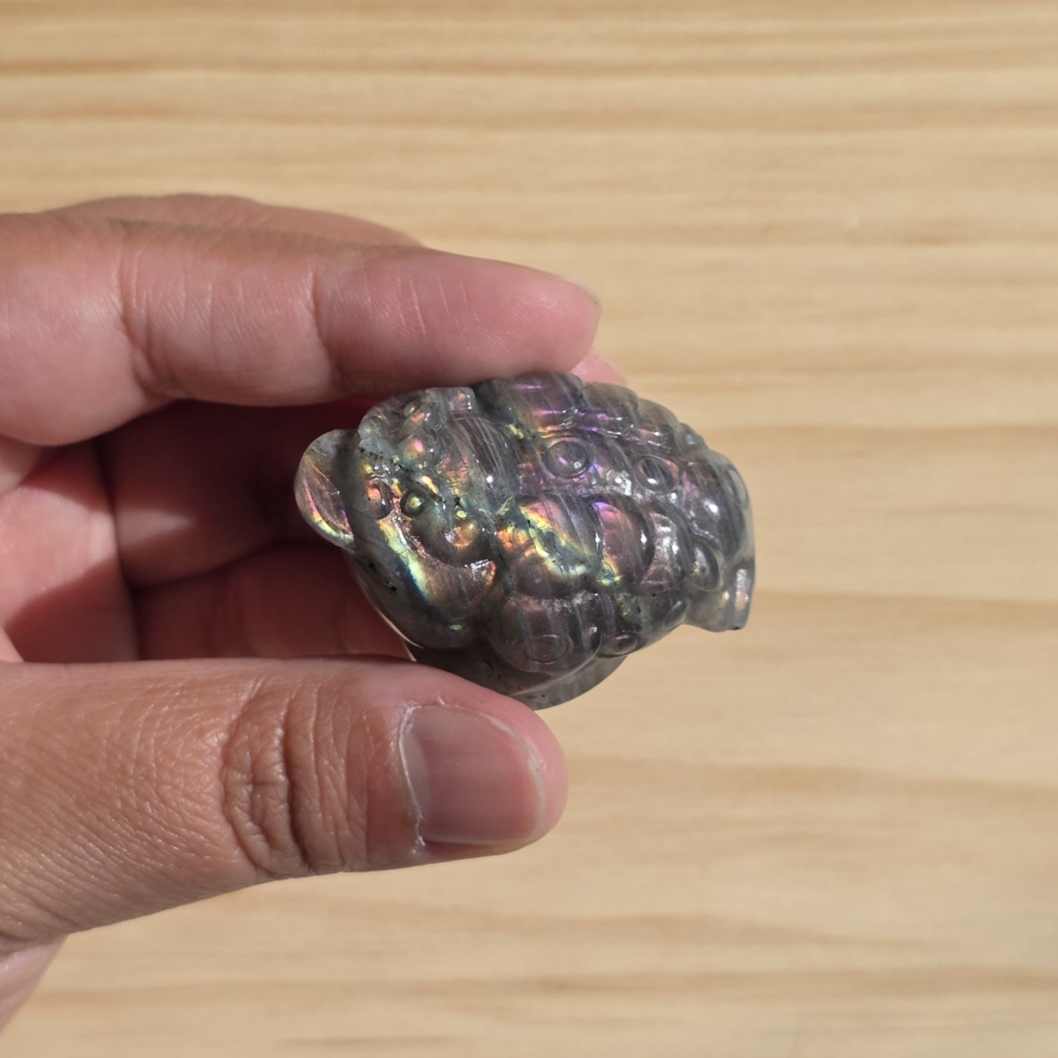 Labradorite Money Toad | One Intuitively Chosen Money Toad