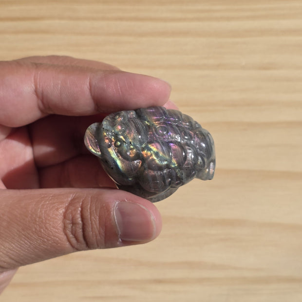 Labradorite Money Toad | One Intuitively Chosen Money Toad