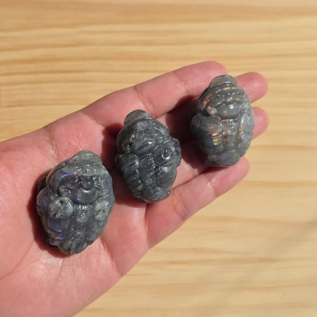 Labradorite Money Toad | One Intuitively Chosen Money Toad