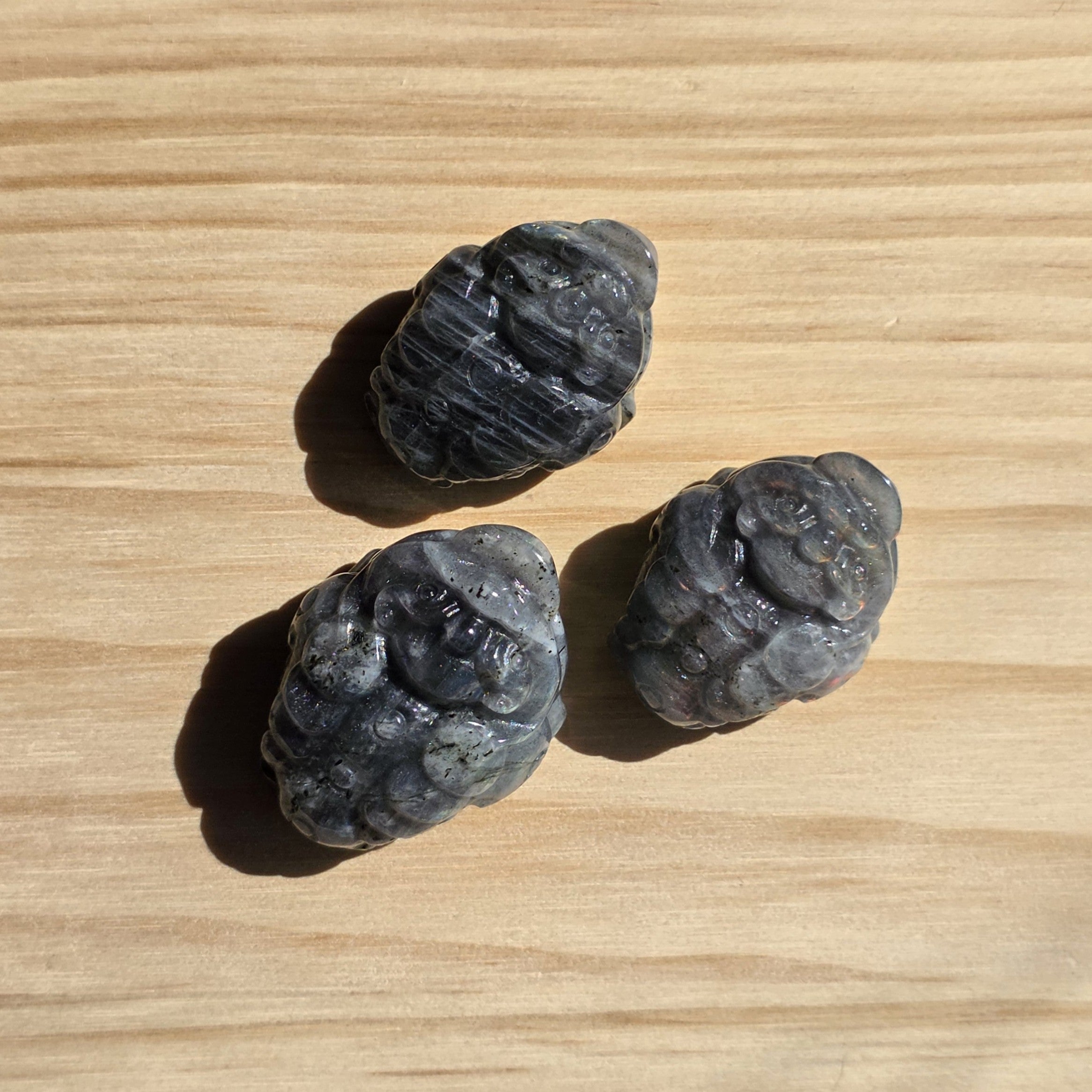 Labradorite Money Toad | One Intuitively Chosen Money Toad