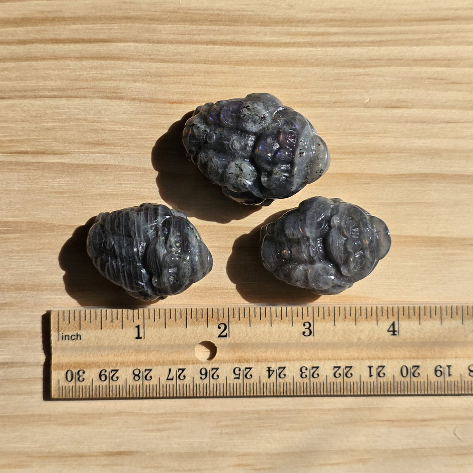 Labradorite Money Toad | One Intuitively Chosen Money Toad