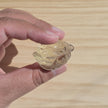 Citrine Money Toad | One Intuitively Chosen Money Toad