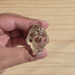 Citrine Money Toad | One Intuitively Chosen Money Toad